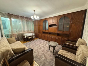 A bright 3-room apartment